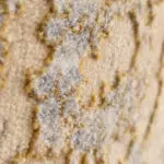 Close-up view of the Baroness Carpet’s ultra-soft pile, featuring a plush texture with intricate detailing in soft gold and misty blue tones. Designed for luxury interiors, modern homes, and premium spaces.