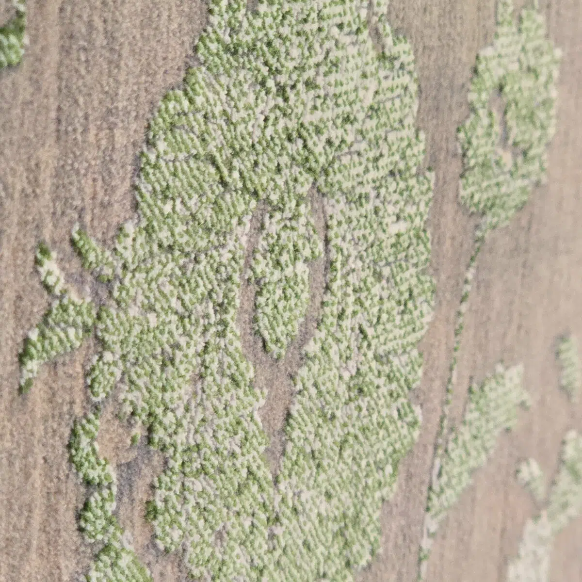 Close-up of the Emerald Carpet’s textured surface, showcasing raised floral patterns in elegant green and taupe tones.