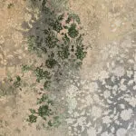 A detailed close-up of the Samarra Carpet’s floral motifs with soft beige, green, and gray hues.