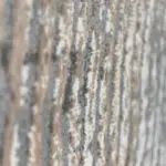 Close-up view of the Andalus modern rug's plush pile and premium fiber texture, showcasing its luxurious softness and detailed craftsmanship.