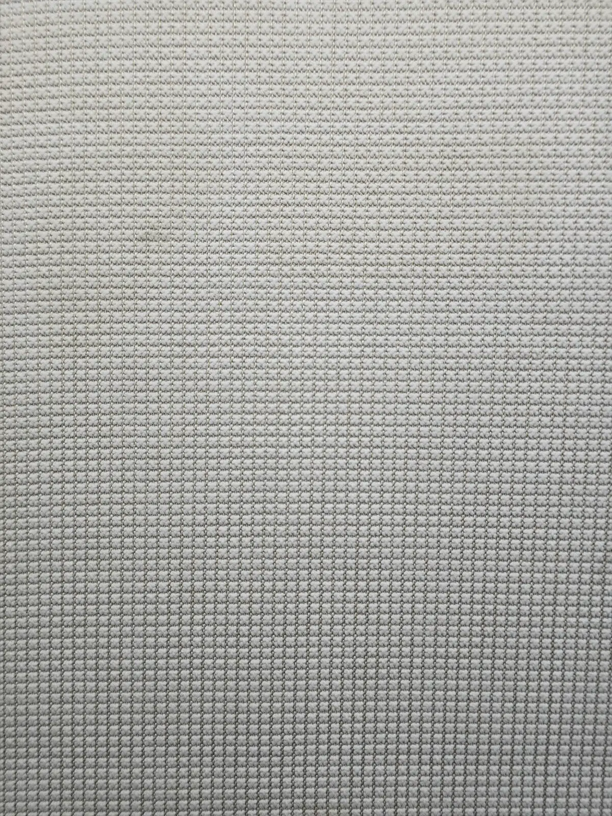 Orbit carpet close-up showing the fine texture of the inner cream area