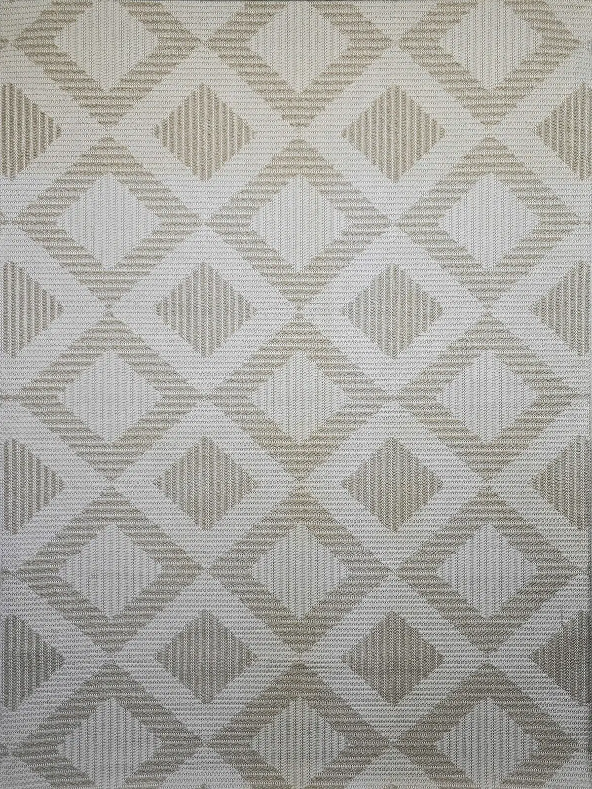 Front-facing view of Comet rug in soft beige tones