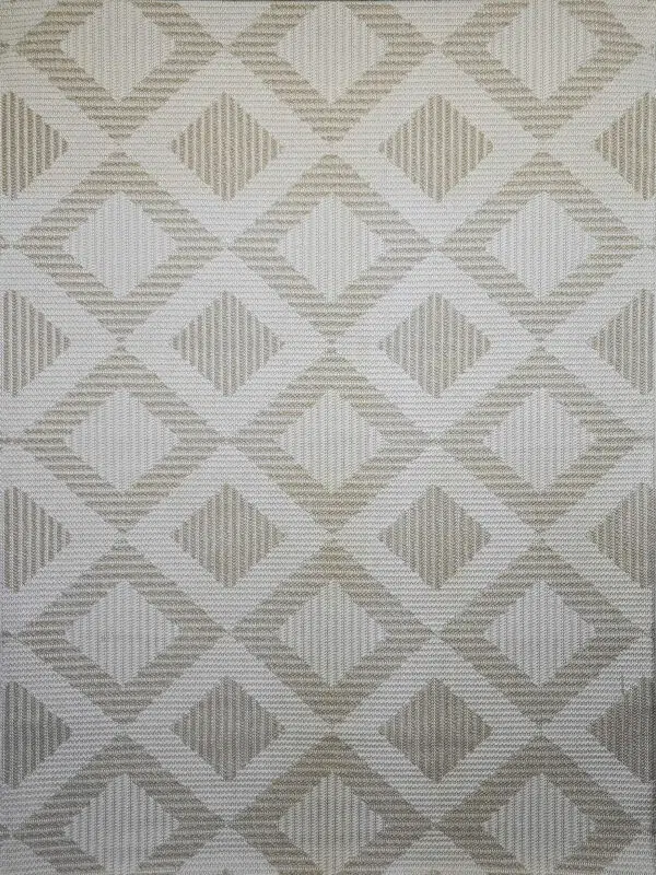 Front-facing view of Comet rug in soft beige tones