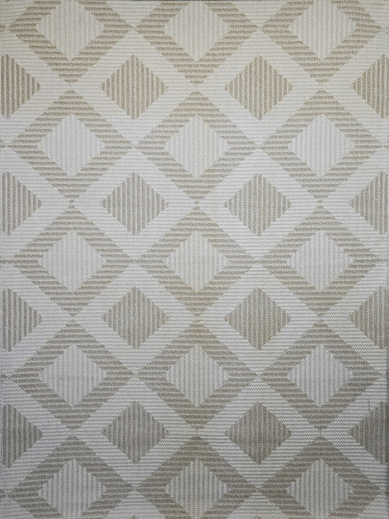 Front-facing view of Comet rug in soft beige tones